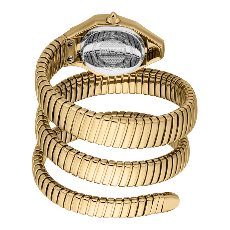 Just Cavalli Lunara JC1L397M0045 caseback