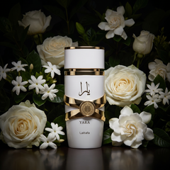 Lattafa Yara Moi before a wall of white flowers at night