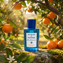 Acqua di Parma Blu Mediterraneo Mandarino di Sicilia in a mandarin grove