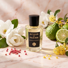 Acqua di Parma Magnolia Infinita with magnolia, pink pepper and osmanthus