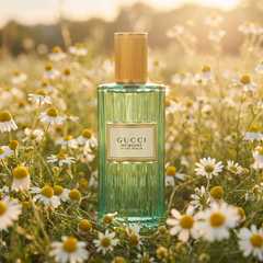 Gucci Memoire d'une Odeur in a chamomile field